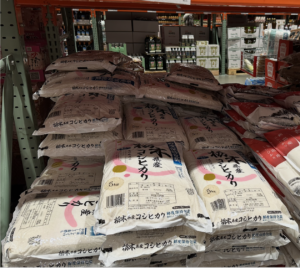 栃木産コシヒカリ画像